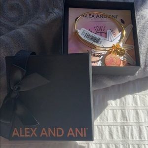 Alex and Ani Bracelet